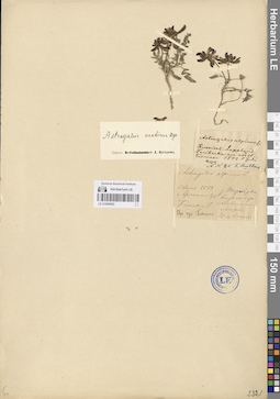 LE 01094502