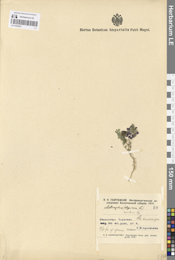 LE 01094503