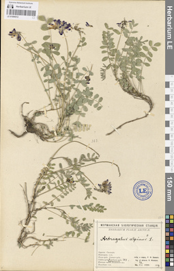 LE 01094512