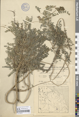 LE 01094515