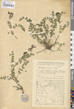 LE 01094516