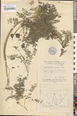 LE 01094517