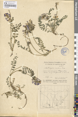 LE 01094518