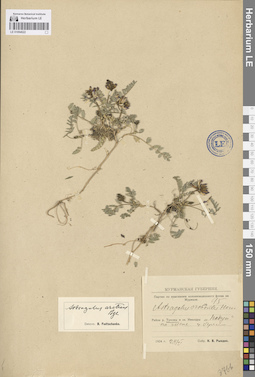 LE 01094522
