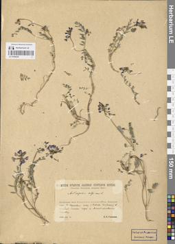 LE 01094529