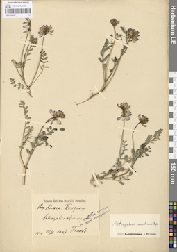 LE 01094557
