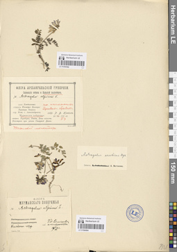 LE 01094563
