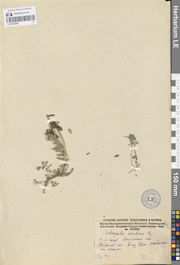 LE 01094566