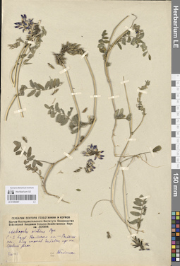 LE 01094567