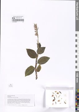 LE 01254641