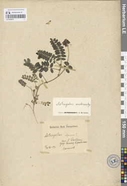LE 01094573