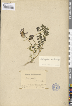 LE 01094574