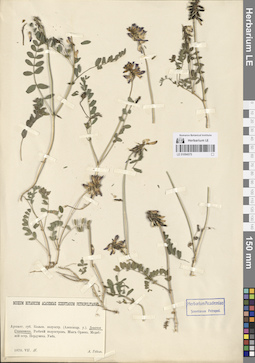 LE 01094575