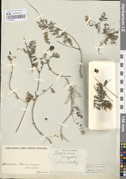 LE 01094576