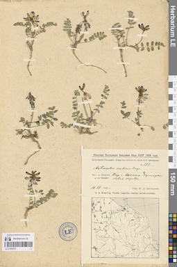 LE 01094578