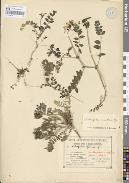 LE 01094579