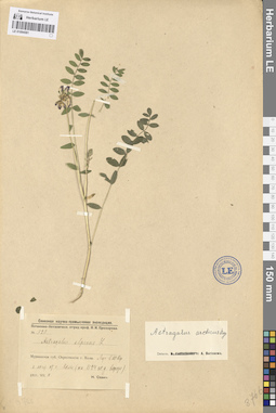 LE 01094581