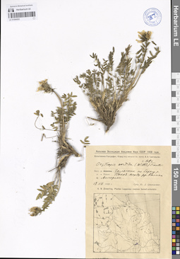 LE 01094583