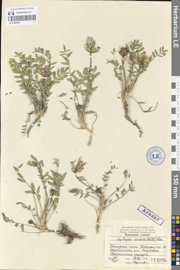 LE 01094585