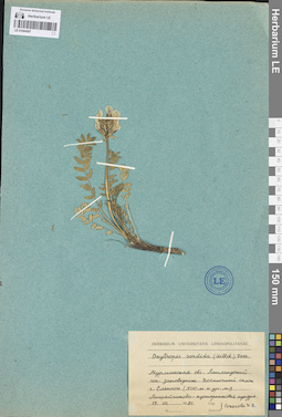 LE 01094597