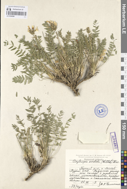 LE 01094598