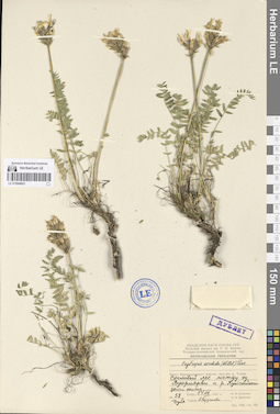 LE 01094603