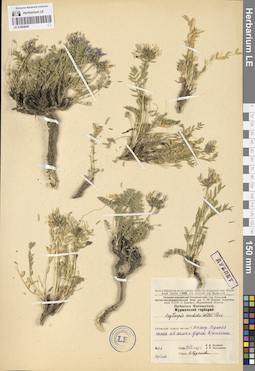 LE 01094605