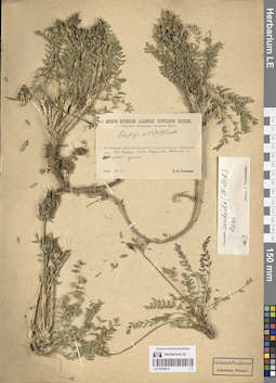LE 01094610