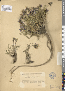 LE 01094615
