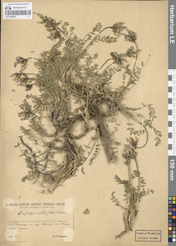 LE 01094625
