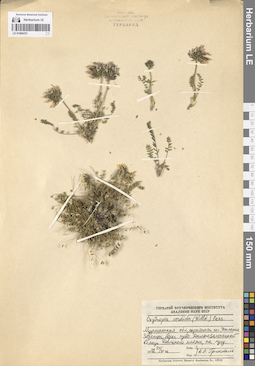 LE 01094701