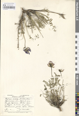 LE 01094702