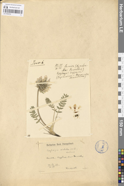 LE 01094703