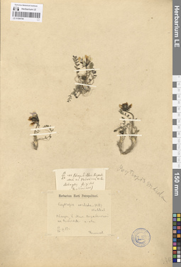 LE 01094704