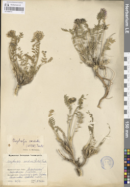 LE 01094713