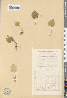 LE 01136197