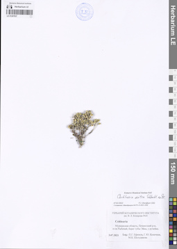 LE 01207937