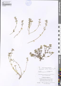 LE 01209422
