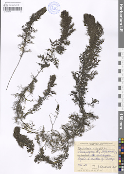 LE 01178179