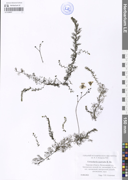 LE 01208037