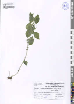 LE 01242612