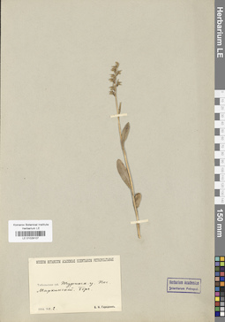 LE 01029107