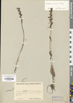 LE 01029112