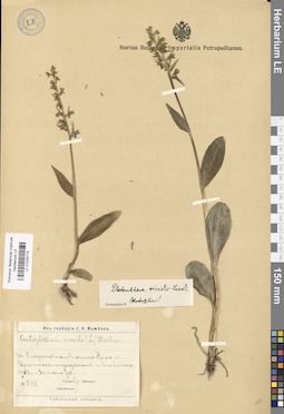 LE 01029114