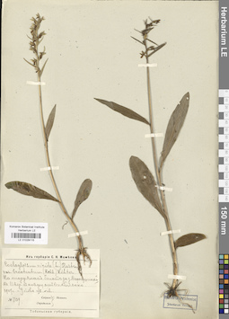 LE 01029115