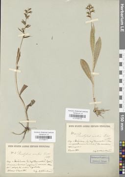 LE 01029118