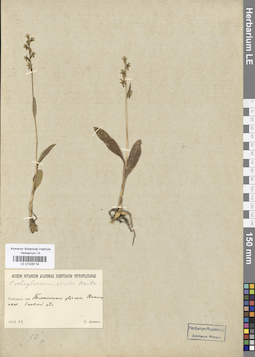 LE 01029119