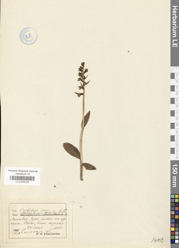 LE 01029123