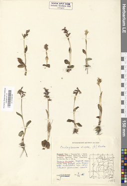 LE 01029125