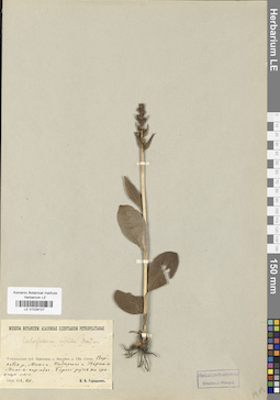 LE 01029127